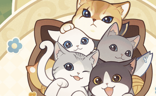 Котиков из Genshin Impact показали настоящему коту — ему не понравилось и он атаковал монитор