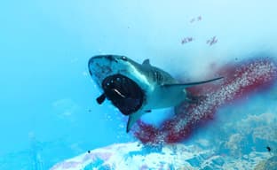 Разработчики Maneater похвалились внушительными результатами продаж