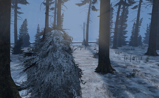 Сообщество DayZ готовится к релизу зимней карты. Bohemia Interactive зарегистрировала новую торговую марку