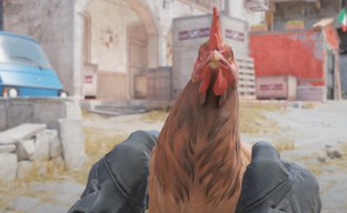В Counter-Strike 2 обнаружили анимацию осмотра курицы