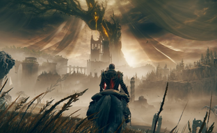 Elden Ring Shadow of the Erdtree получает смешанные отзывы в Steam. Игроки разочарованы японской камерой и другими особенностями DLC FromSoftware