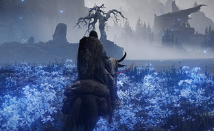 Китайцы сливают рейтинг Elden Ring Shadow of the Erdtree в Steam. Аналитик попытался объяснить причину бомбардировки обзорами