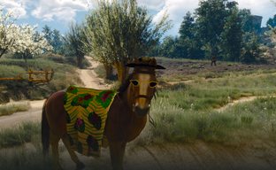 CD Projekt RED показала лучшие моды для The Witcher 3 Wild Hunt. Пляжная Плотва и другие работы с первого конкурса сообщества