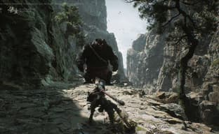 Разработчики Black Myth: Wukong в обзорах запретили тему политики и феминизма — утечка