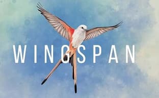 Игроадаптация одной из лучших настольных игр Wingspan появится на консолях PlayStation