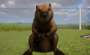 Microsoft Flight Simulator 2024 получила коллаб с Planet Zoo. В авиасимуляторе появятся разнообразные животные