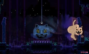 Одна из самых высокорейтинговых инди года Animal Well появилась на Xbox