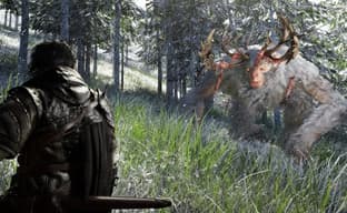 PlayStation предлагала эксклюзивность для «корейского Ведьмака» Crimson Desert, но разработчик отказался