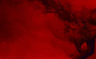 Bandai Namco выступит издателем дебютного проекта ветеранов CD Projekt