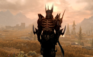 Оригинальной The Elder Scrolls V Skyrim исполнилось 13 лет