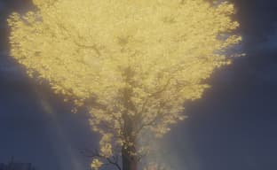 Фанаты Elden Ring считают Древо Эрд «рождественской ёлкой» из-за сходства с деревом из Австралии