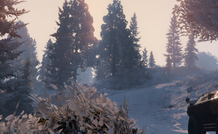 Фанаты GTA 6 настроились на перенос, а некоторые усмотрели в профиле сотрудника Rockstar намек на релиз в 2025 году