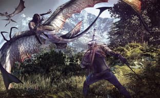 Летающих монстров и арбалет добавили в  The Witcher 3 благодаря «партизанской деятельности» двух разработчиков