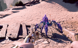 Геймдиректор Avowed предупредила, что игра будет «глючной», но зато обеспечат весёлый геймплей