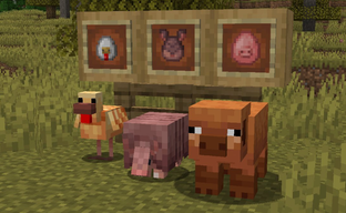 Minecraft получит «яичное» обновление, новые цвета опавших листьев и звуки волков — Mojang показала разнообразные яйца для призыва мобов