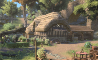 Авторы Skyblivion, ремейка Oblivion на движке Skyrim, уже воссоздали весь мир, но работы ещё много