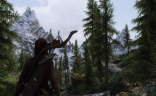 Skyrim Creator Admits How Experiments Broke the Game Before Release — It Was All Due to Elaborate Butterflies and Ants