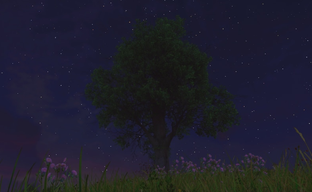 Карта не нужна: реалистичное небо Kingdom Come Deliverance 2 позволяет ориентироваться по звёздам