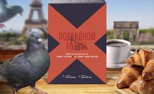 Пернатая мафия в сборе: карточную игру «Подсадной Голубь» выпустят в России