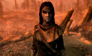 Успех The Elder Scrolls 6 не сможет защитить Bethesda от ненавистников в Интернете — виденье ветерана студии