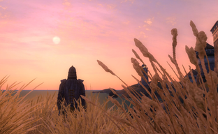 Инсайдер назвал релизное окно ремейка The Elder Scrolls 4 Oblivion и готов поставить на него $100