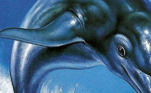 Классика Sega возвращается: анонсированы ремастеры Ecco the Dolphin и Ecco: The Tides of Time, а также новая часть серии