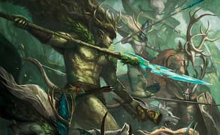 Авторы настольной игры Warhammer The Old World готовы открыть предзаказ на миниатюры лесных эльфов