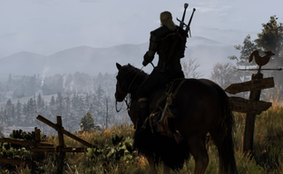 Авторы The Witcher 3 десять лет прятали на скриншотах существ, которых связывают с мифами и легендами о единорогах. CDPR раскрыла секрет