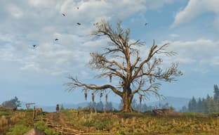 «Дуб Геральт» из The Witcher 3 хотят сделать памятником природы в Варшаве. Создана петиция