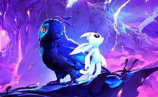 Автор Ori и No Rest for the Wicked обвинил Valve в несправедливых поборах с инди-разработчиков