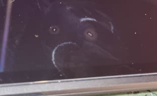 Early Switch 2 Owners Furious Over Holes in Screen Made by Store