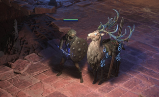 Вторая спидран-гонка Path of Exile 2 завершилась победой звезды первого ивента — с небольшим отрывом от соперника