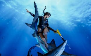 Встреча с акулами: Weta Workshop открыла предзаказ на статую Лары Крофт из Tomb Raider: Underworld