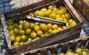 Mafia: The Old Country на удивление компактна. Игра доступна для скачивания на Xbox