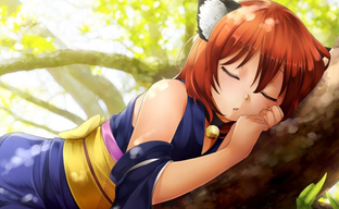 В GOG бесплатно раздают 13 игр для взрослых. Платформа выступила против цензуры и удаления игр