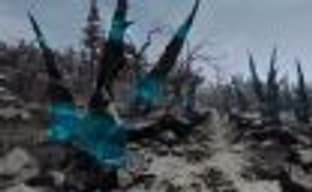 Возвращение в Чернобыль: несколько минут из STALKER: Legacy of Times