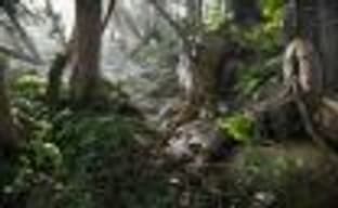 Book of the Dead – интерактивная игра от первого лица, демонстрирующая графические возможности движка Unity