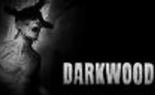 Польский хоррор Darkwood дебютирует на консолях