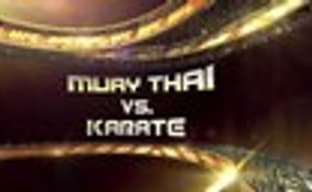 Дневники разработчиков UFC 2010 