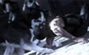 Трейлер Dead to Rights: Retribution