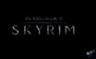 The Elder Scrolls V: Skyrim в ноябре 2011
