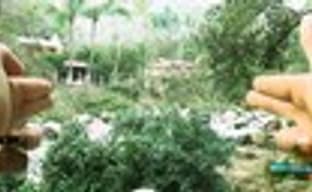 PC Games: Crysis 2 будет красивее Uncharted 2