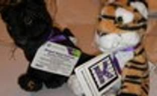 Kinectimals - новый подход к DLC