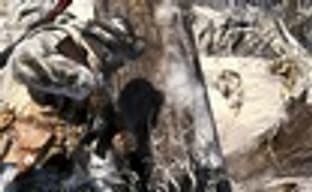 Первая статистика по мультиплееру Call of Duty: Black Ops 