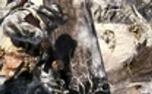 Call of Duty: Black Ops без кооперативной кампании