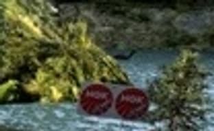 «Пасхалка» в Gran Turismo 5