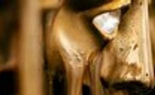 Номинанты BAFTA 2011