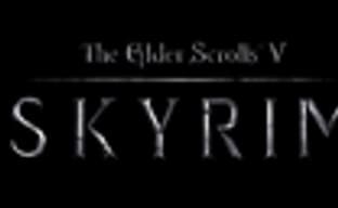 Bethesda предлагает будущим родителям назвать детей Dovahkiin