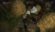The Witcher 2: оценки и «пасхалка»