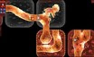 Приключенческий паззл Molecat Twist